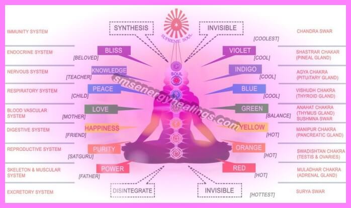 An infographic showing a silhouette of a person in a meditation pose with seven aligned chakras, labeled with corresponding colors, bodily systems, and spiritual concepts.